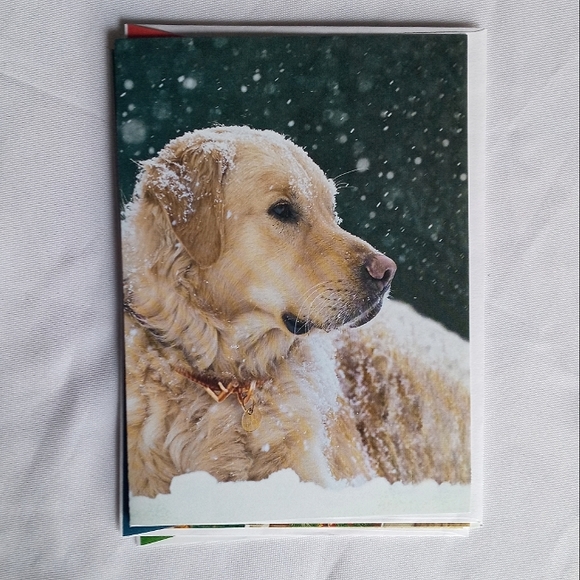 🅓🅞🅝🅐🅣🅔🅓! - Picture 8 of 16